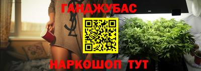 прущие грибы Тверь