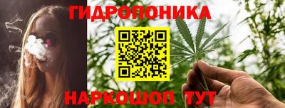 хмурый Тара