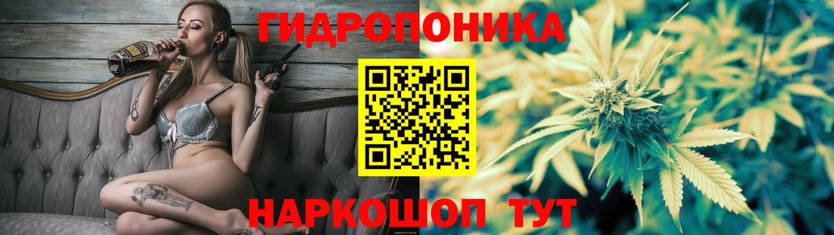 Канабис марихуана  Вход с VPN  Волжск  Марихуана планчик  Бошки Шишки индика  Бошки марихуана AK-47 